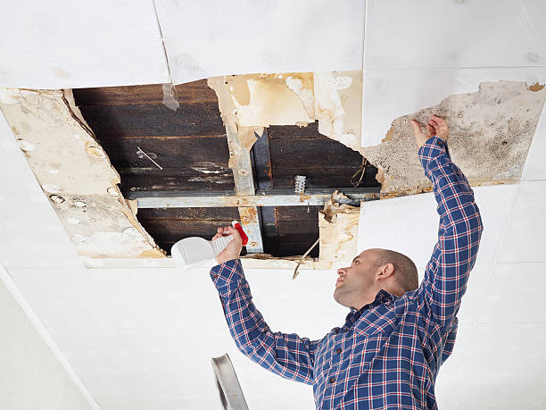 Asbestos and Lead Testing During Mold Inspection